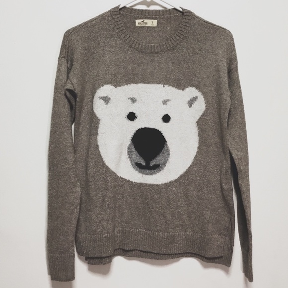 Hollister Sweaters - Hollister Brown Sweater with Polar Bear